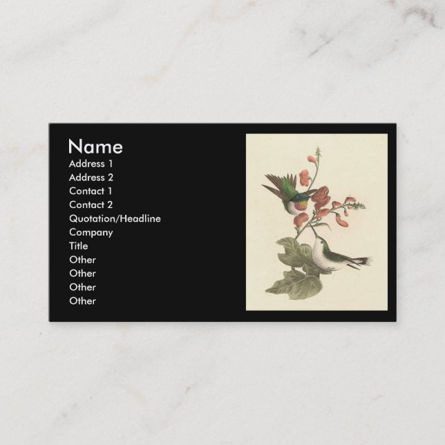 The Red-throated or Ruby-throated Hummingbird Business Card (Front)