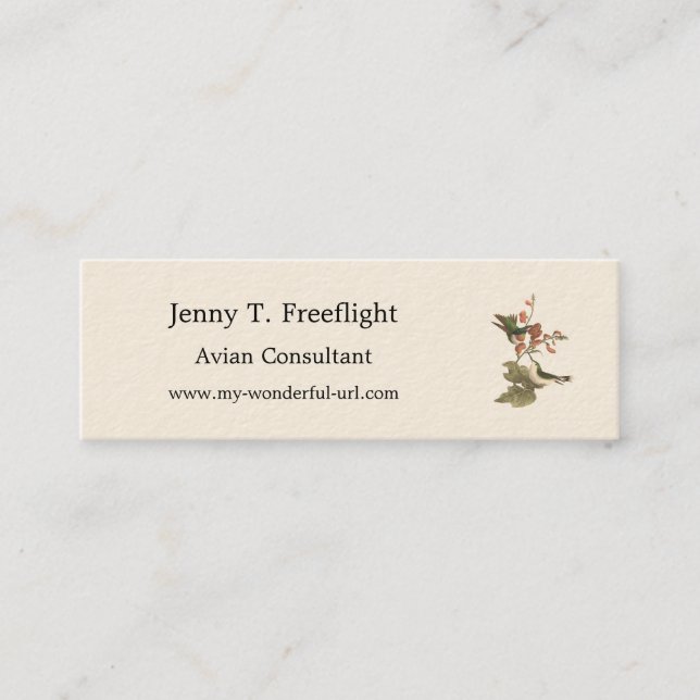 The Red-throated or Ruby-throated Hummingbird Mini Business Card (Front)