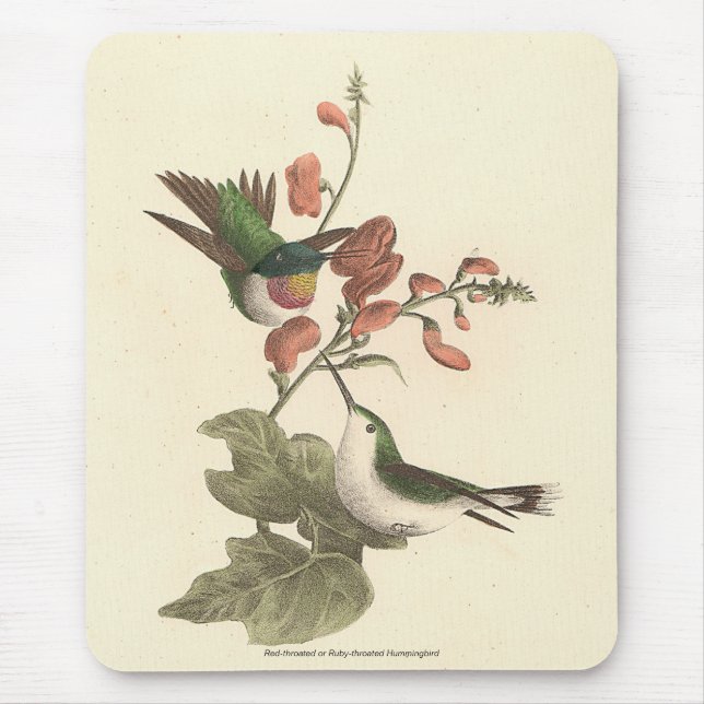 The Red-throated or Ruby-throated Hummingbird Mouse Mat (Front)