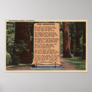 The Redwood Highway, Poem by Strauss Poster