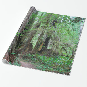 The Redwoods - Sequoia Wrapping Paper