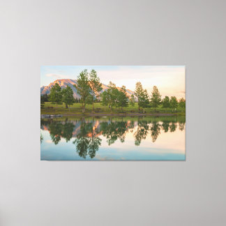 The Reflections Canvas Print