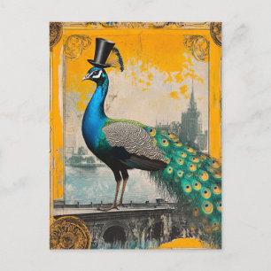 The Regal Peacock in a Top Hat Postcard