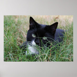 The resting hunter poster