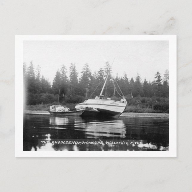The Rhododendron on Quillayute River Postcard (Front)