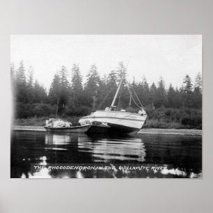 The Rhododendron on Quillayute River Poster