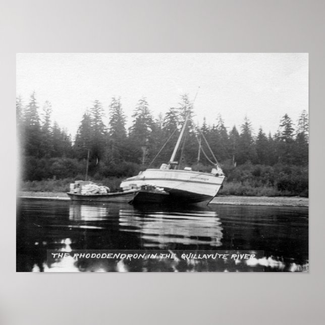 The Rhododendron on Quillayute River Poster (Front)