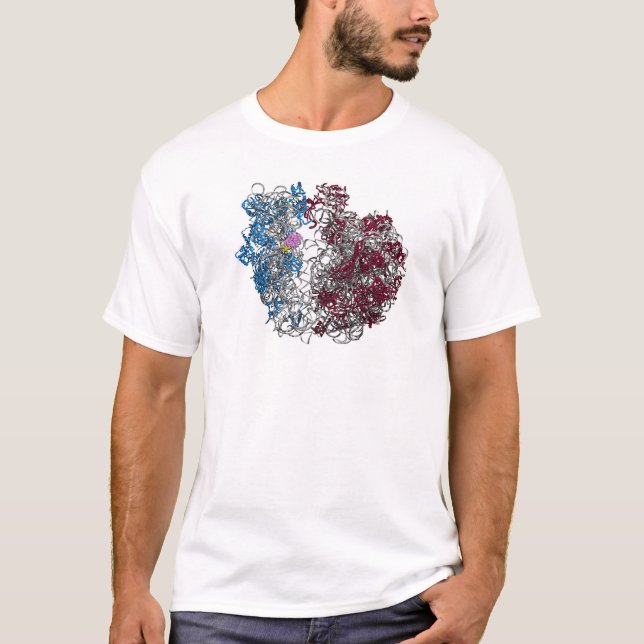 The Ribosome - smaller T-Shirt (Front)