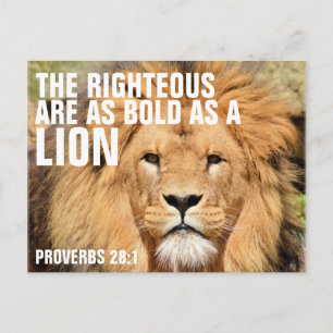 The Righteous are as Bold as a LION Postcard
