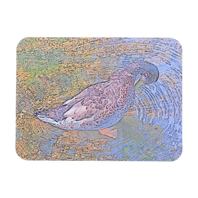 The Ripples Magnet (Horizontal)