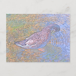The Ripples Postcard