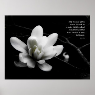 The Risk to Bloom Poster