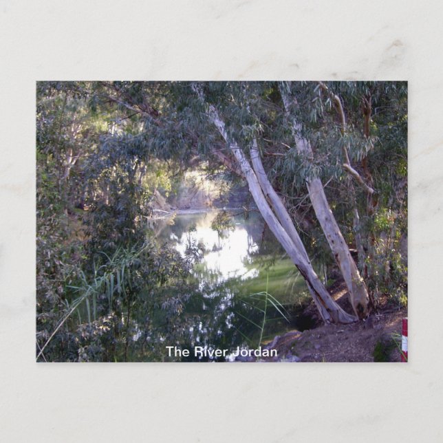 The River Jordan Postcard (Front)