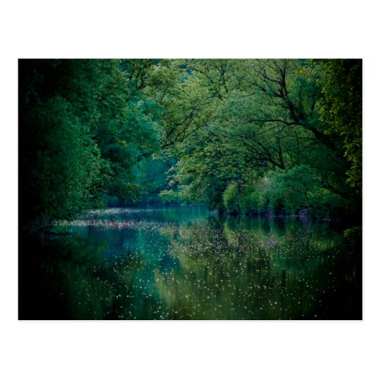 The River • Postcard
