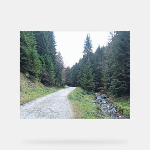 The Road Between Pines - Wild Nature Romania Acrylic Sign