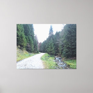 The Road Between Pines - Wild Nature Romania Canvas Print