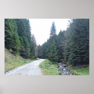 The Road Between Pines - Wild Nature Romania Poster