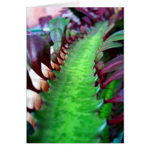 The Road Less Travelled