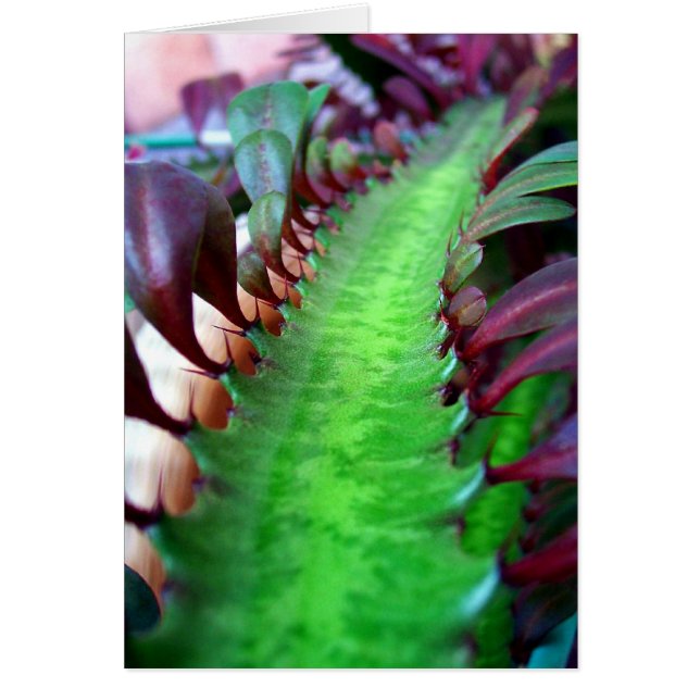 The Road Less Travelled (Front)