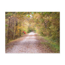 The Road Less Travelled