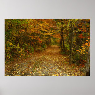 The Road Less Travelled Poster