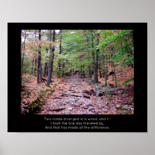 The Road Not Taken Blue Hills Reservation Poster
