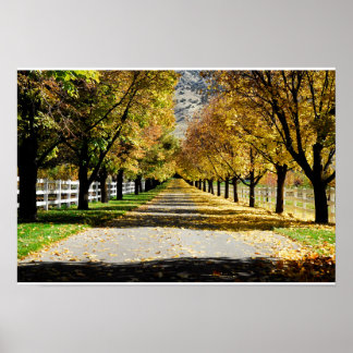 The Road of Colors Poster