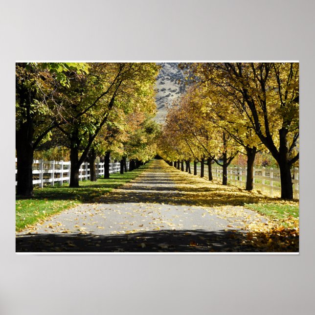 The Road of Colors Poster (Front)