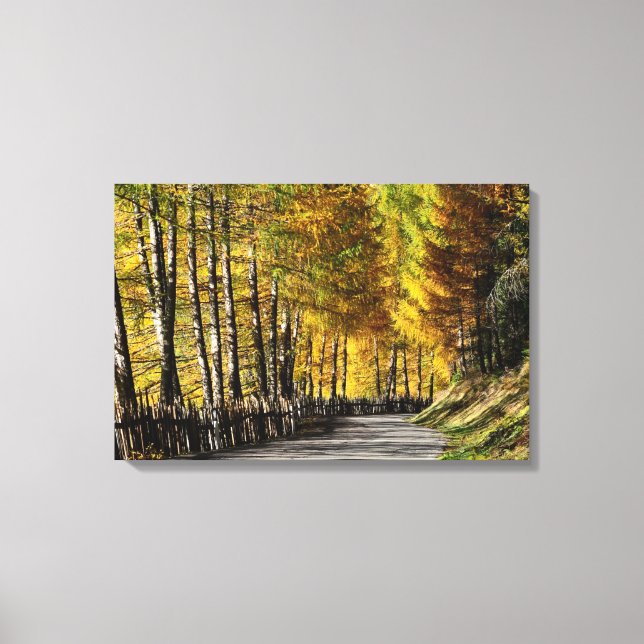 The road to autumn canvas print (Front)