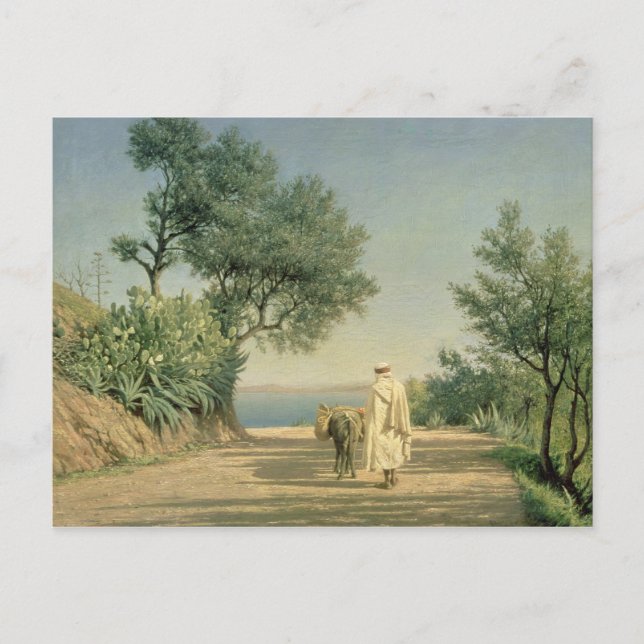 The Road to the Sea, Algeria, 1883 Postcard (Front)