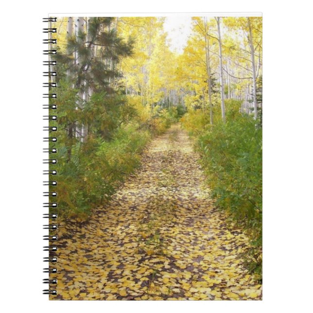The Road You Leave Behind Notebook (Front)
