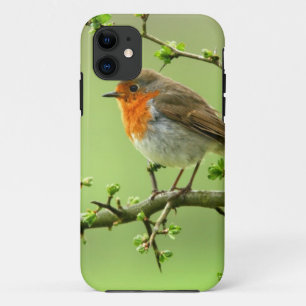 The Robin iPhone 11 Case