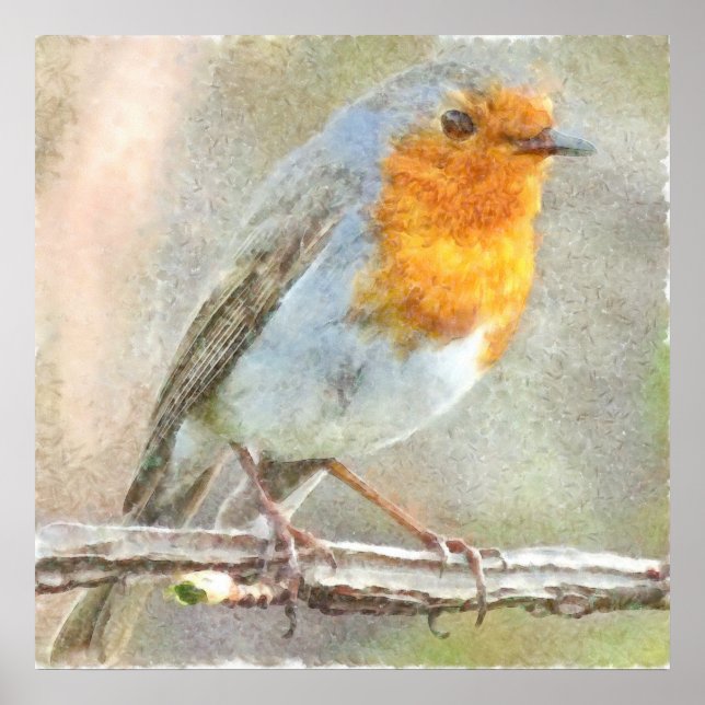 The Robin Is A Gabriel Watercolor Poster (Front)