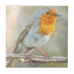 The Robin Is A Gabriel Watercolor Tile<br><div class="desc">The Robin Is A Gabriel Watercolor is a painting of a delightful robin - The UK's favourite bird - with its bright red breast it is familiar throughout the year and especially at Christmas! A beautiful holiday season theme, a portent of spring and resurrection Robins are unphased by human contact,...</div>