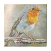 The Robin Is A Gabriel Watercolor