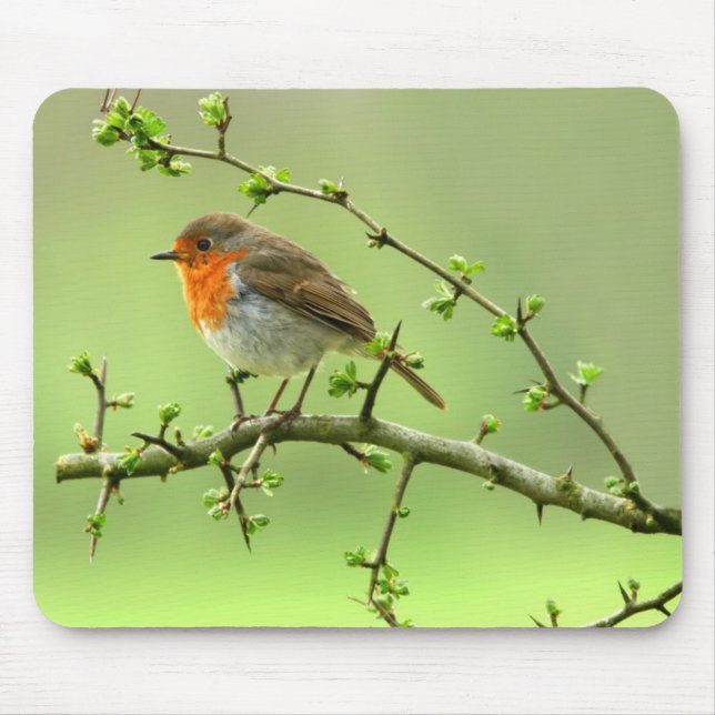 The Robin Mouse Mat (Front)