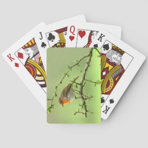 The Robin Playing Cards