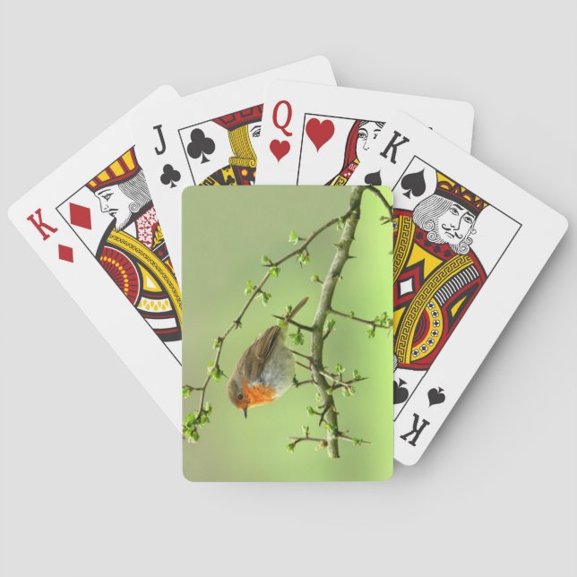 The Robin Playing Cards (Back)
