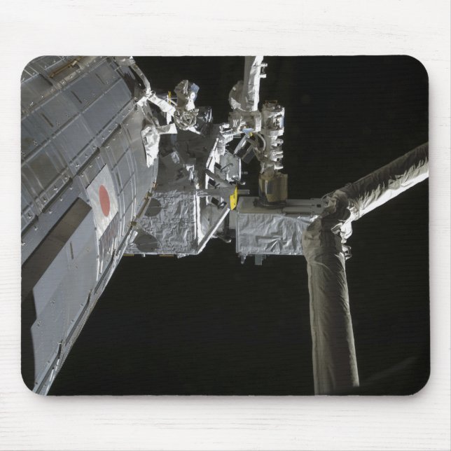 The robotic arm of the Japanese Experiment Modu Mouse Mat (Front)