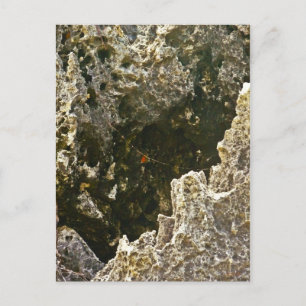 The Rocks Of Hell Postcard