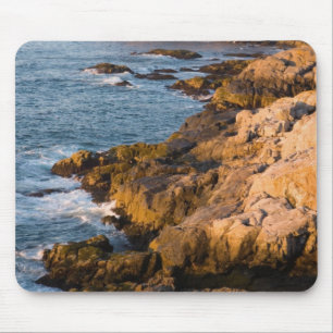 The rocky coast of Isle au Haut in Maine's Mouse Mat