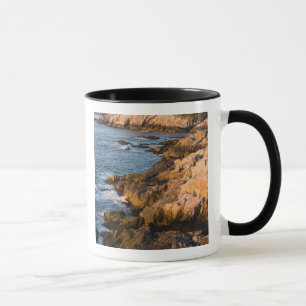 The rocky coast of Isle au Haut in Maine's Mug