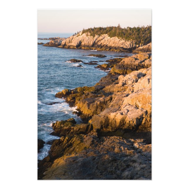 The rocky coast of Isle au Haut in Maine's Photo Print (Front)