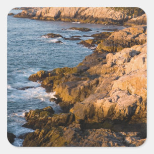 The rocky coast of Isle au Haut in Maine's Square Sticker