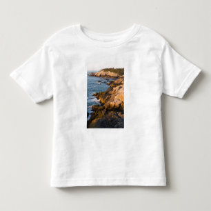 The rocky coast of Isle au Haut in Maine's Toddler T-Shirt