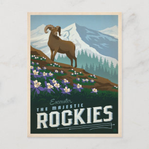 The Rocky Mountains   Colorado Postcard