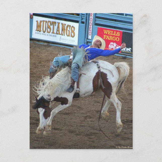 The Rodeo Collection - Wild Ride Postcard (Front)