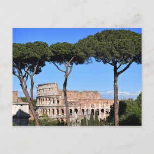 The Roman Colosseo Postcard