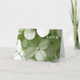 The roots of love... holiday card