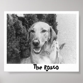 The Rosco Poster